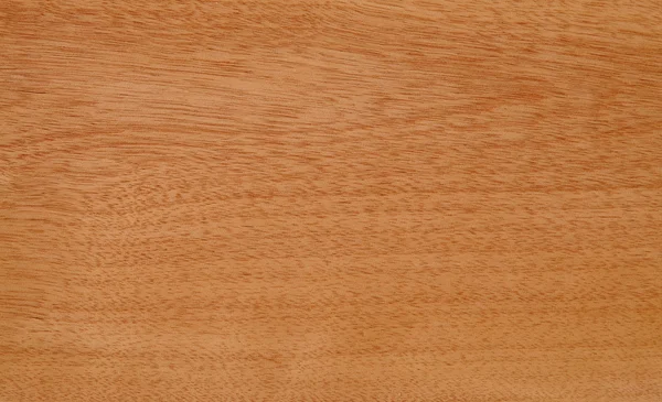 Textura madera — Foto de Stock