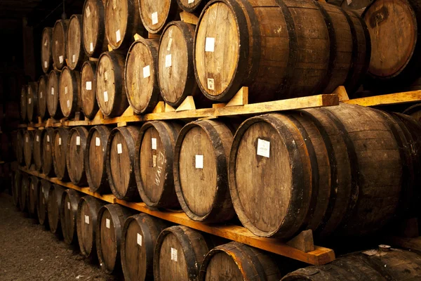 Wine barrels — Stock Photo, Image