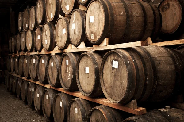 Tequila barrels resting — Stock Photo, Image