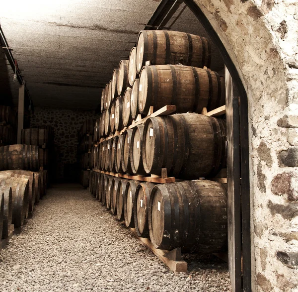 Wine barrels — Stock Photo, Image