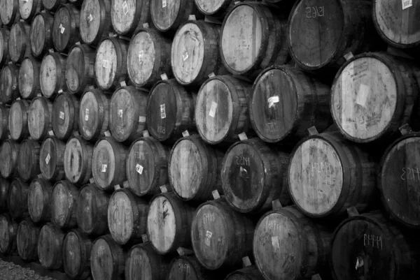 Wine barrels — Stock Photo, Image