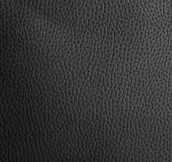 Leather texture — Stock Photo, Image