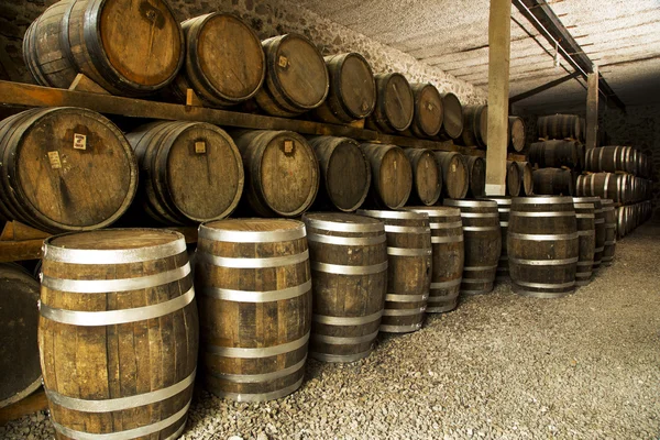 Wine barrels — Stock Photo, Image