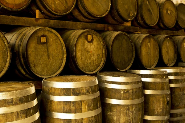 Wine barrels — Stock Photo, Image