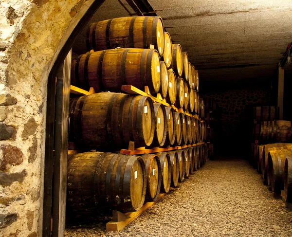 Wine barrels — Stock Photo, Image