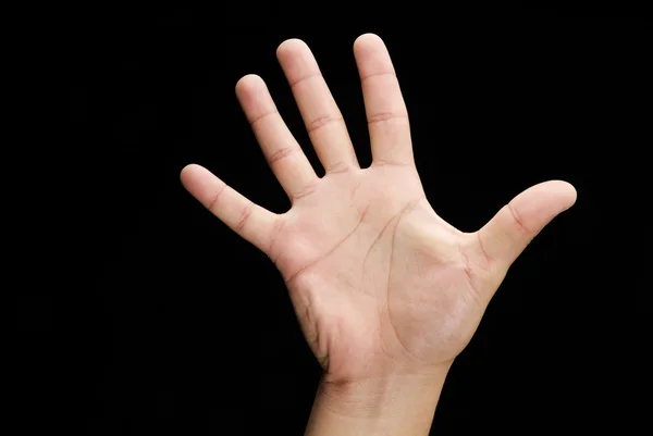 Hand black and white — Stock Photo, Image