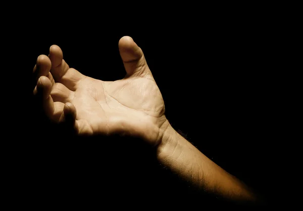 Praying Hands — Stock Photo, Image