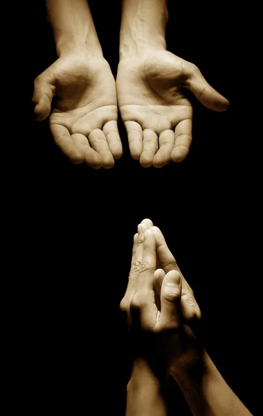 Hands together in prayer — Stock Photo, Image