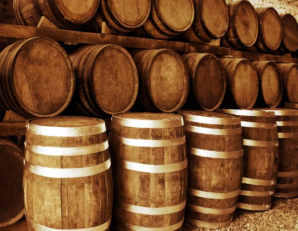 tekila varil dinlenme