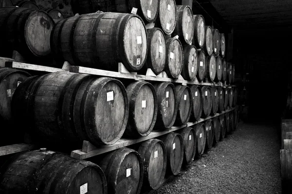 Barrels of w — Stock Photo, Image