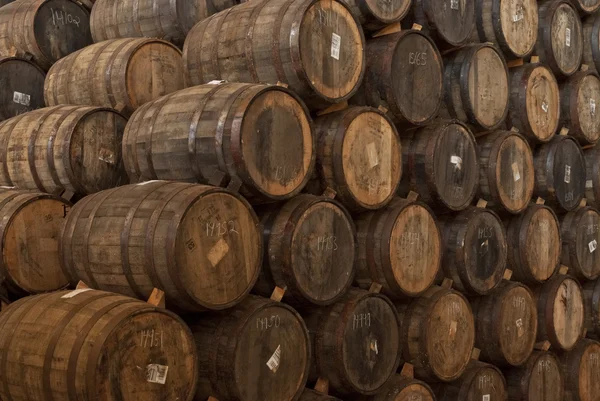 Barrels of tequila — Stock Photo, Image