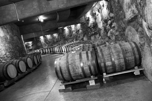Barris de vinho juntos — Fotografia de Stock