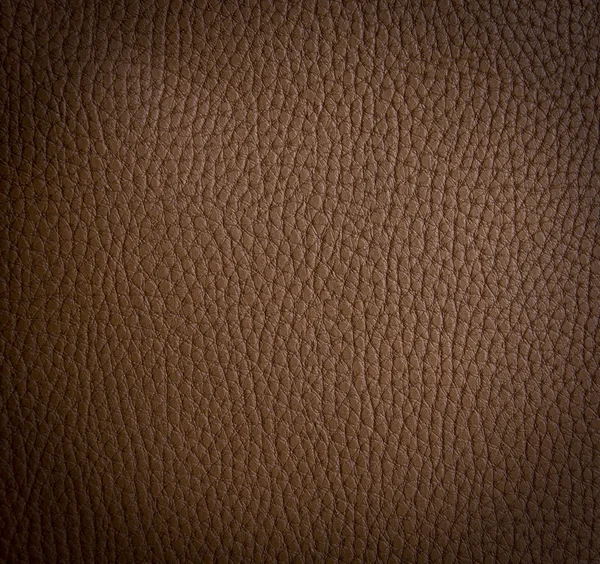 A Leather texture — Stock Photo, Image