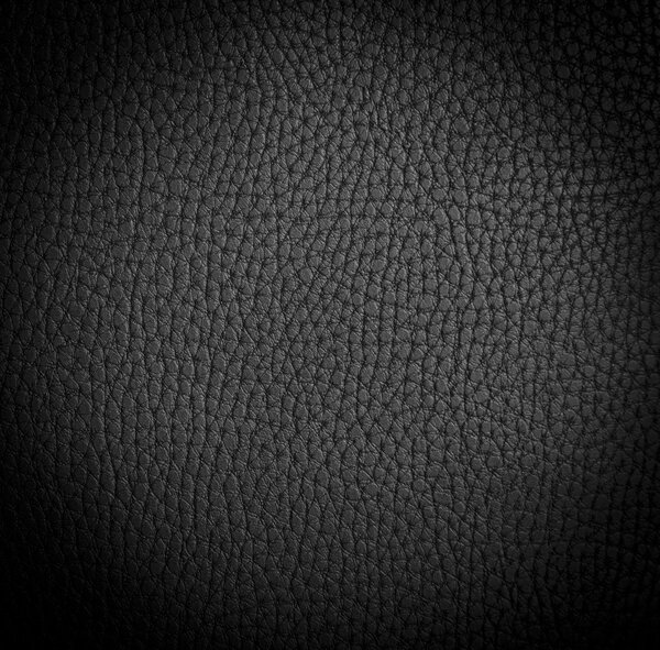 a Leather texture