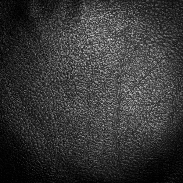 A Leather texture — Stock Photo, Image