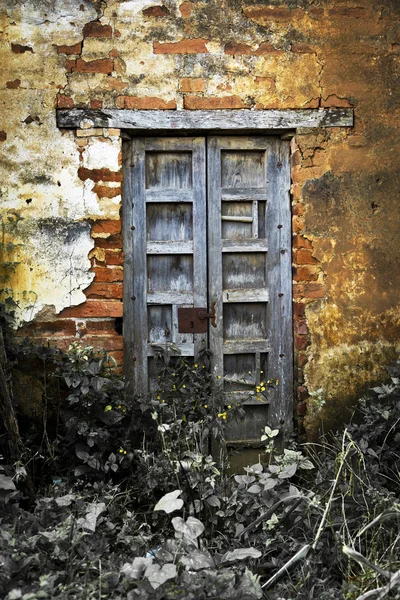 O ușă de epocă — Fotografie, imagine de stoc