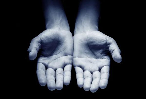 Hands together in prayer — Stock Photo, Image