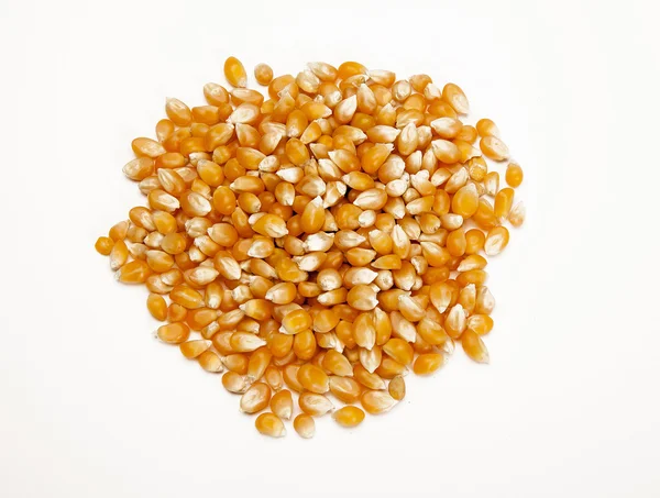 Bulk of corn grains — Stock Photo, Image