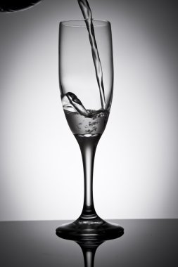 şişe ve şarap cam