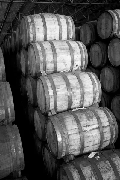 A Barris de vinho — Fotografia de Stock