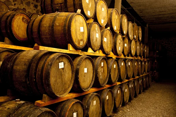 The wine barrels — Stock Photo, Image
