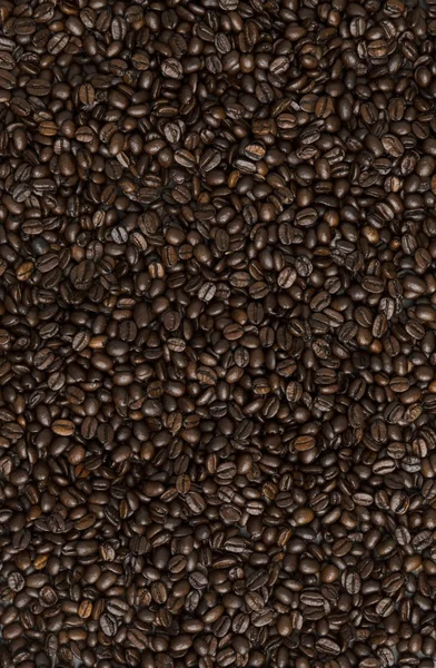 Los granos de café — Foto de Stock
