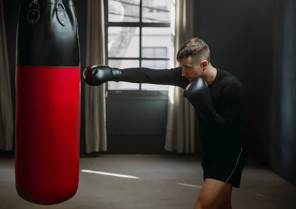A young athletic man is hitting a boxing bag. Boxer practicing punches in the ring. The athlete strikes with a punching bag. 4k video Royalty Free Stock Images