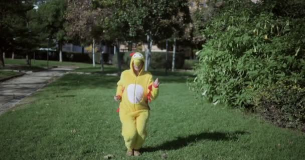 닭 옷을 입은 소녀. 닭 코스튬입은 여자의 웃긴 영상이군. 계란을 곁들인 닭고기. 여자와 닭 알. — 비디오