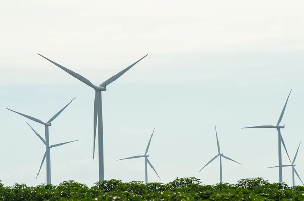 Turbina eólica —  Fotos de Stock