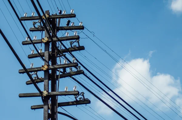 High voltage — Stock Photo, Image