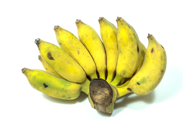 Zralé pěstování banánů — Stock fotografie
