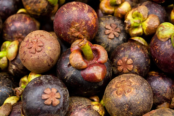 Mangosteen