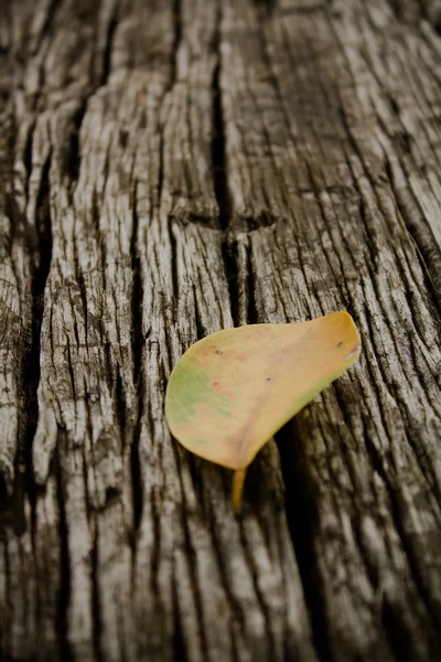 Old wood — Stock Photo, Image