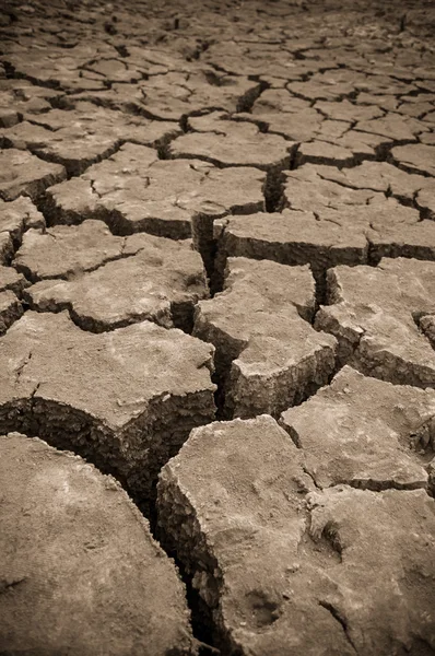 Dry weather — Stock Photo, Image