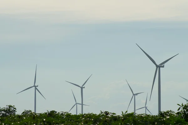 Turbina eólica —  Fotos de Stock