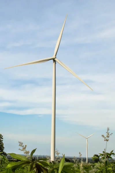 Turbina eólica —  Fotos de Stock