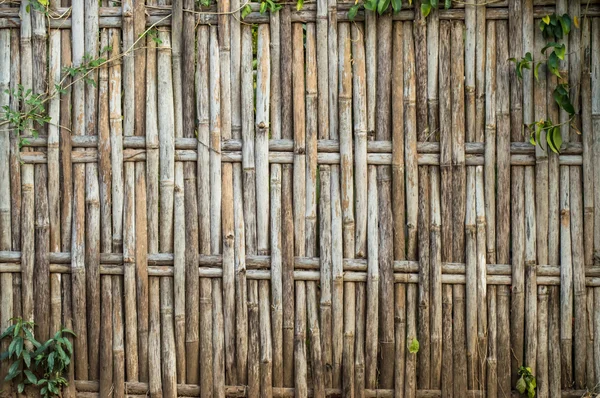 Bambusbindung — Stockfoto