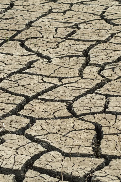 Droge seizoen — Stockfoto