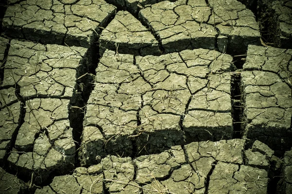 Dry season — Stock Photo, Image