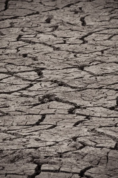 Época seca — Fotografia de Stock