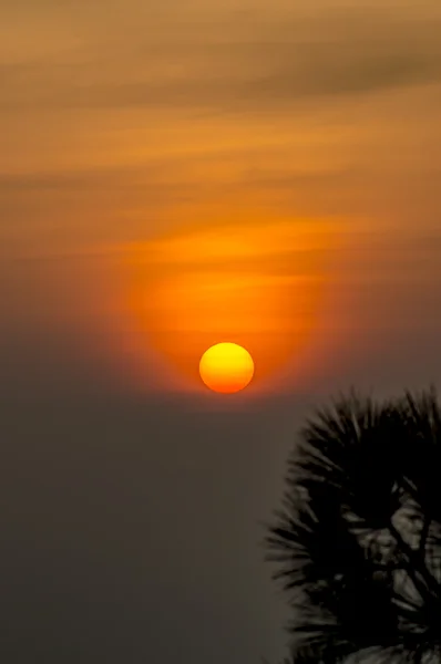 Puesta de sol — Foto de Stock