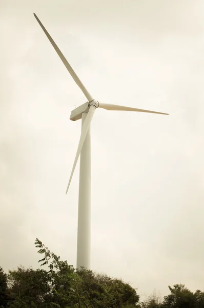 Turbina eólica —  Fotos de Stock