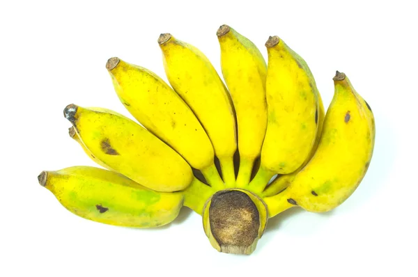 Спелые культивировать банан — стоковое фото
