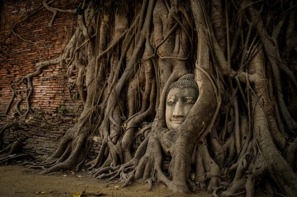 Faccia di Buddha — Foto Stock