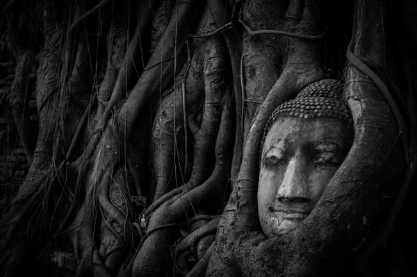 Faccia di Buddha — Foto Stock