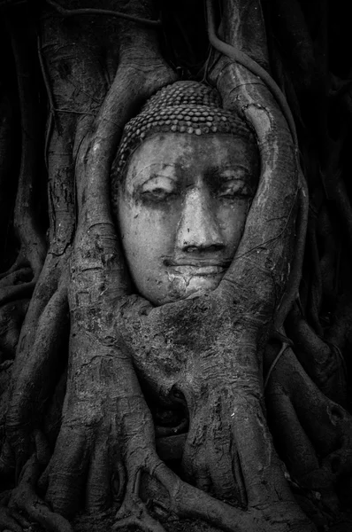 Faccia di Buddha — Foto Stock