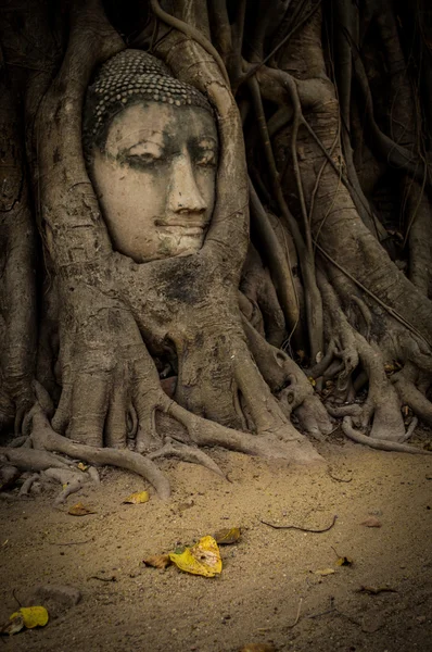 Buddha ansikte — Stockfoto