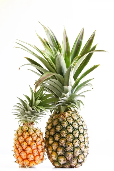 Pineapple on White Background Stock Image
