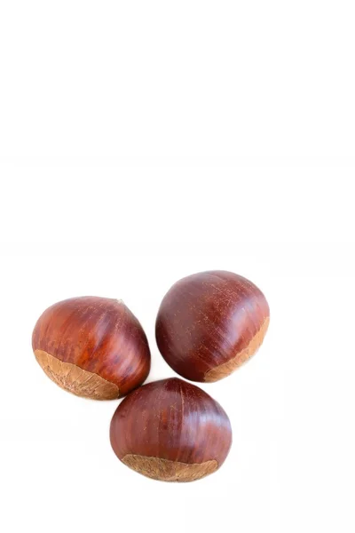 Castagne su sfondo bianco — Foto Stock