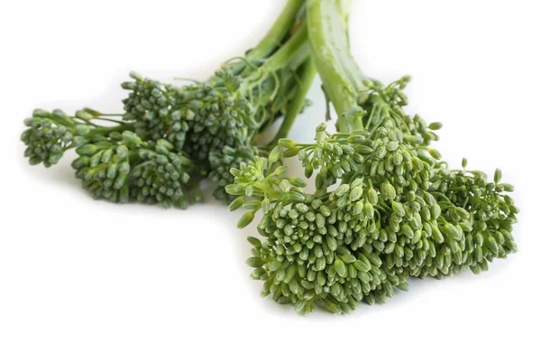Broccolini na białym tle — Zdjęcie stockowe